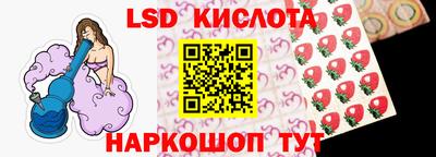 гидра Рязань