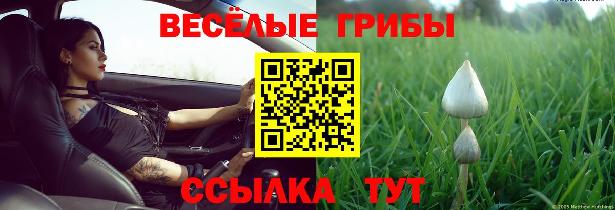 Галлюциногенные грибы Psilocybine cubensis  Вход с VPN  Новошахтинск 