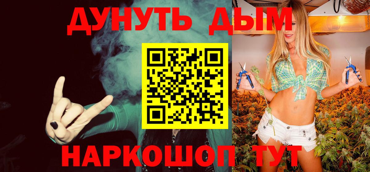 МАРИХУАНА сатива Новошахтинск